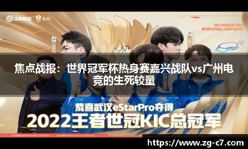 c7c7app官网